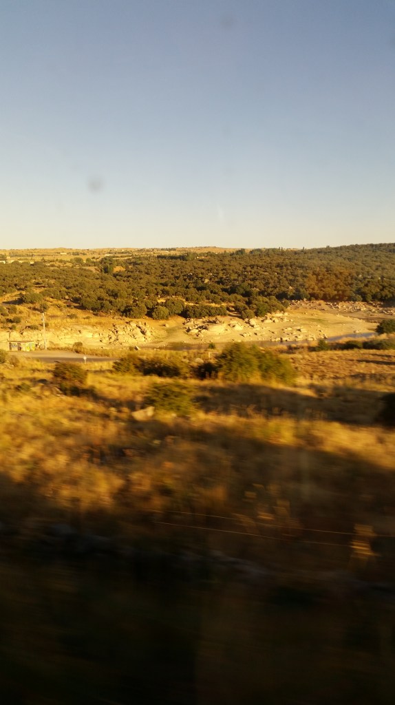 JPEG_20160822_023437_-702906848-1