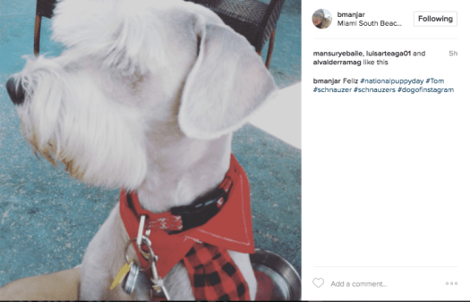 Screen Shot 2017-03-23 at 9.34.30 PM